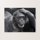 Recherche de chimpanzé puzzles Drôle