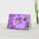 Recherche de jaune orange rouge vœux cartes Nature