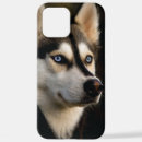 Recherche de husky iphone coques Malamute