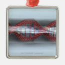 Search for dna ornaments Medicine