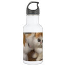 Search for cuddly drinkware Kittens