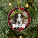 Search for dog bone ornaments Red plaid