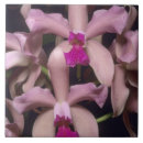 Search for south america tiles Jungle