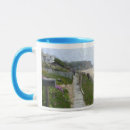 Search for cove mugs Nature
