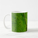 Search for green leaf mugs Closeup