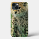 Search for fuzzy cases Cute