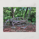 Search for wish you were here postcards City