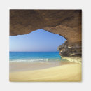 Recherche de greg johnston magnets Tropical