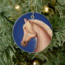 Search for white horse ornaments Pony