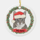 Search for tabby ornaments Green