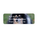 Search for sheltie return address labels Pets