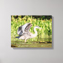 Search for wade canvas prints Waterfowl