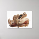 Recherche de blooded art Échelles