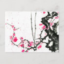 Recherche de fleur de sakura cartes postales Floral