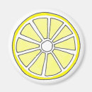 Search for lemon slice magnets Citrus