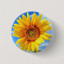 Search for colourful bee buttons Flower