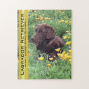 Recherche de brun chocolat puzzles Labrador
