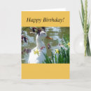 Search for white duck cards Nature