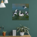 Search for pelican posters Bird
