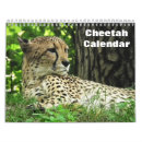 Recherche de vacances de chat bureau fournitures Animaux