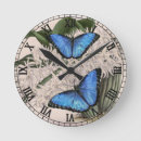 Recherche de papillon bleu horloges Nature
