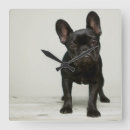 Search for french bulldog nursery decor Baby animals