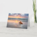 Search for conch shell cards Ocean