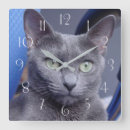Search for russian clocks Animals