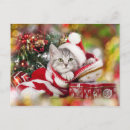 Recherche de canine christmas vœux cartes Claus