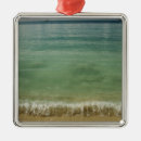 Search for caribbean ornaments Seascape