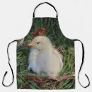 Search for hen aprons Poultry