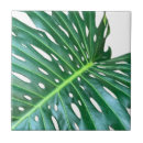Search for foliage tiles Palm leaf