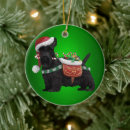 Search for schnauzer ornaments Animals