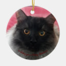Search for x mas ornaments Cat