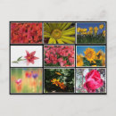 Search for most postcards Beautiful