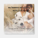 Recherche de humains magnets Mes humains se marient