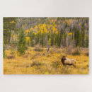 Recherche de rocky mountain puzzles Montagne rocheuse