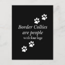 Search for border collie postcards Animals