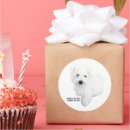 Search for cutest stickers Dog