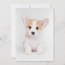 Search for corgi thank you cards Canine