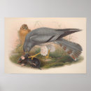 Search for tree mouse posters Wildlife
