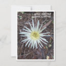Search for nature note cards Flowers