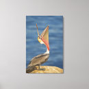 Search for wild one canvas prints Wildlife