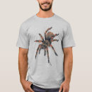 Search for tarantula tshirts Nature