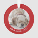 Search for cocker spaniel ornaments Pets