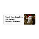 Search for rural return address labels Cow