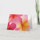 Search for frangipani cards Plumeria