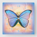 Recherche de morpho horloges Papillons