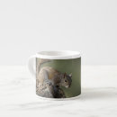 Search for st simons island mugs Superstock