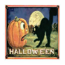 Search for halloween photo statuettes cat